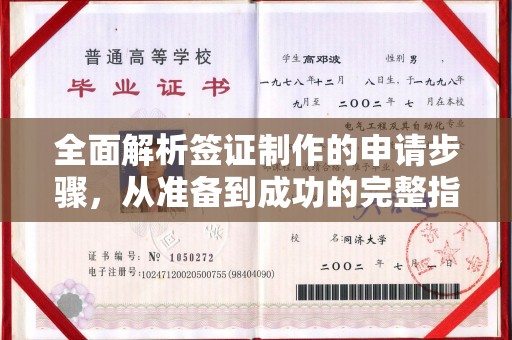 乐山全面解析签证制作的申请步骤，从准备到成功的完整指南